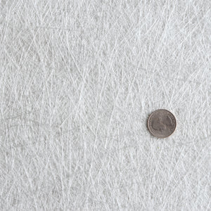 Up close image of chopped strand mat with a quarter sitting in corner for strand size reference.