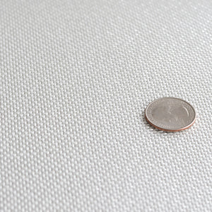 10 ounce woven fiberglass cloth with a quarter for size reference. 